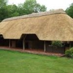 Thatch lapas