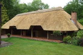 thatch images Thatch lapas