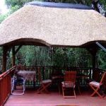 thatch roofs